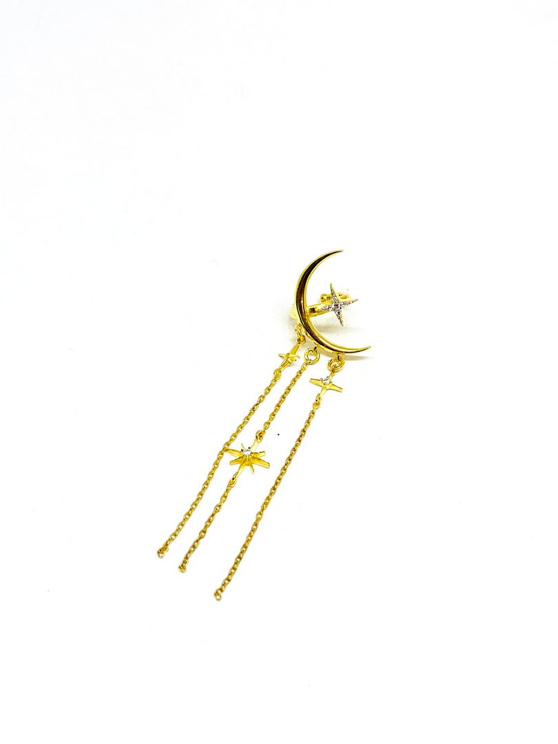 Special Design Kıkırdak Küpe